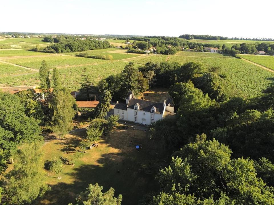 Du Vignoble A L'Atlantique - Chateau Cassemichere Gite La Chapelle-Heulin 외부 사진